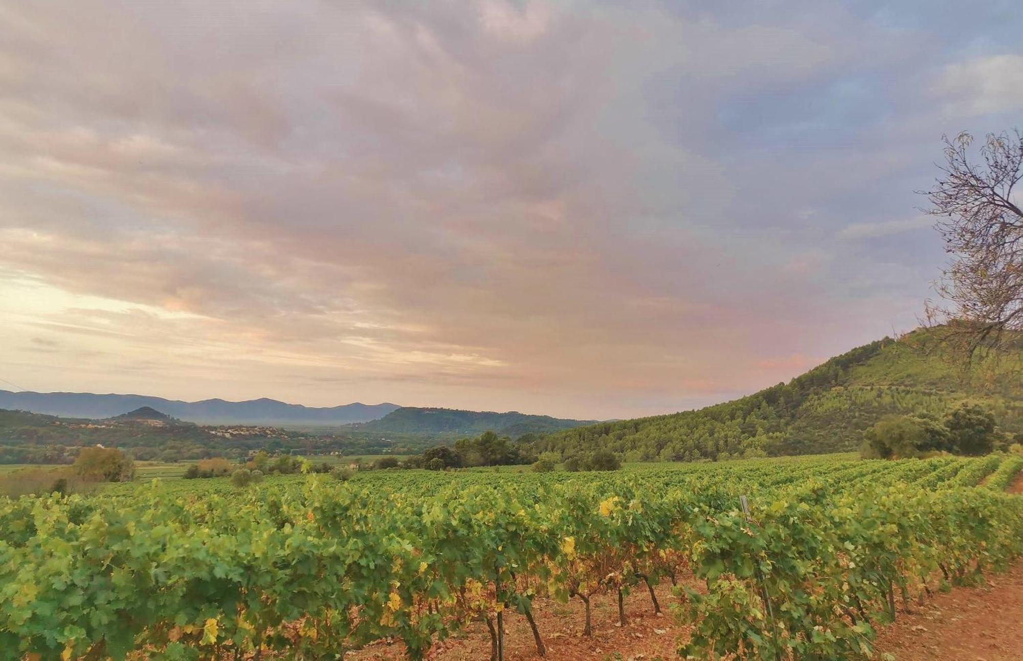 Le Nid En Chante Vue Panoramique Les Arcs-sur-Argens 외부 사진