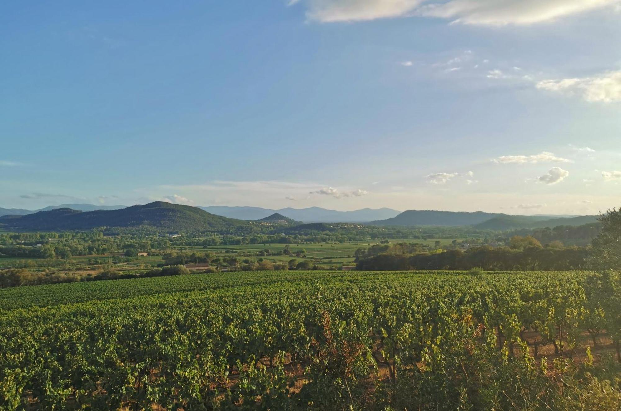 Le Nid En Chante Vue Panoramique Les Arcs-sur-Argens 외부 사진
